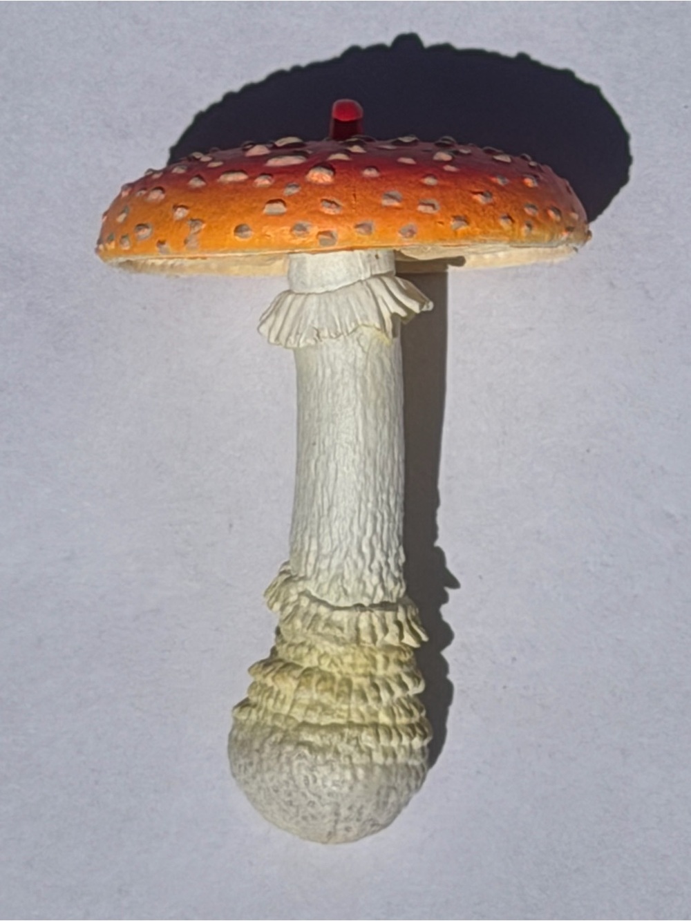 nature techni colour Amanita muscaria